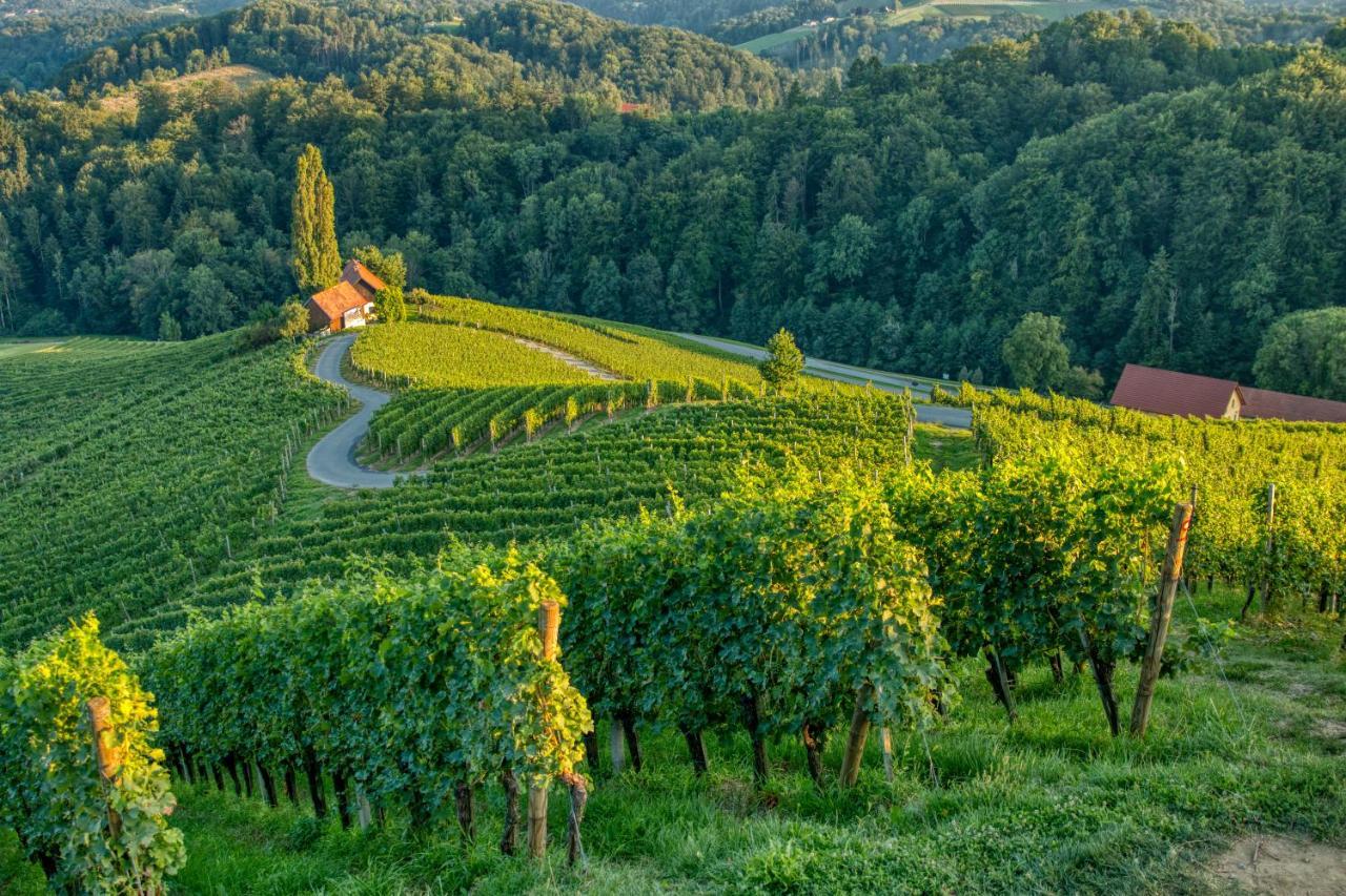 Turisticna Kmetija Dreisiebner Villa Spicnik Bagian luar foto