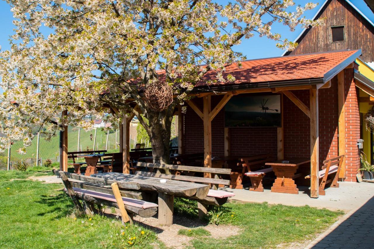 Turisticna Kmetija Dreisiebner Villa Spicnik Bagian luar foto